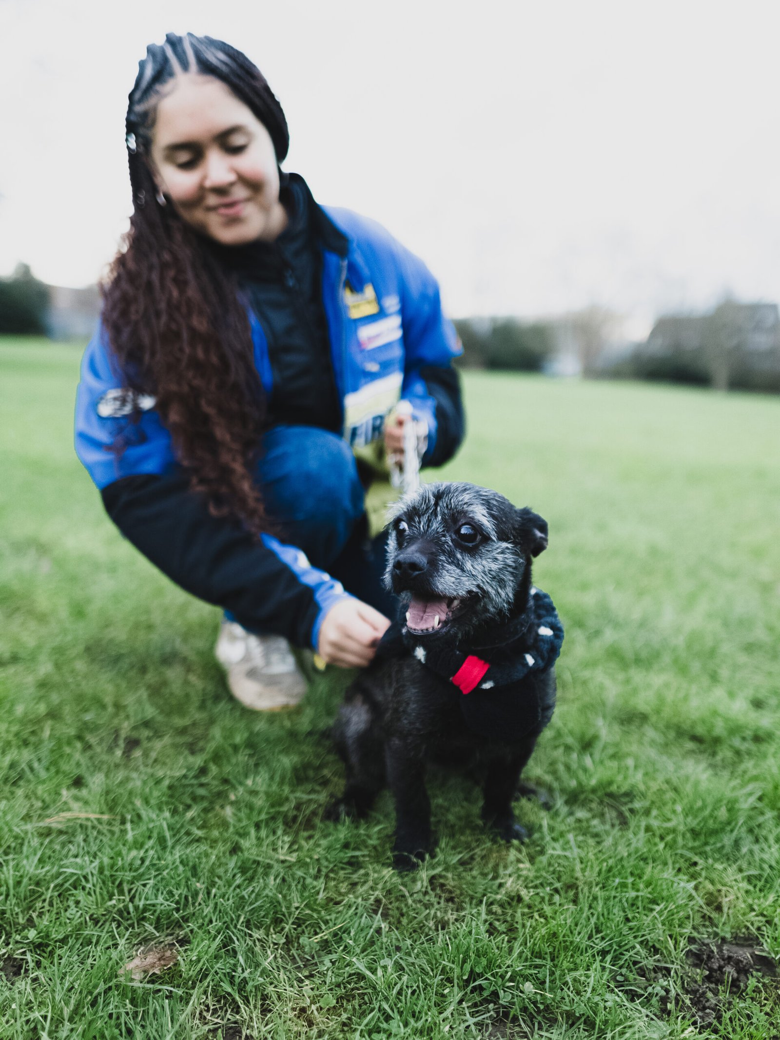 Pet Training